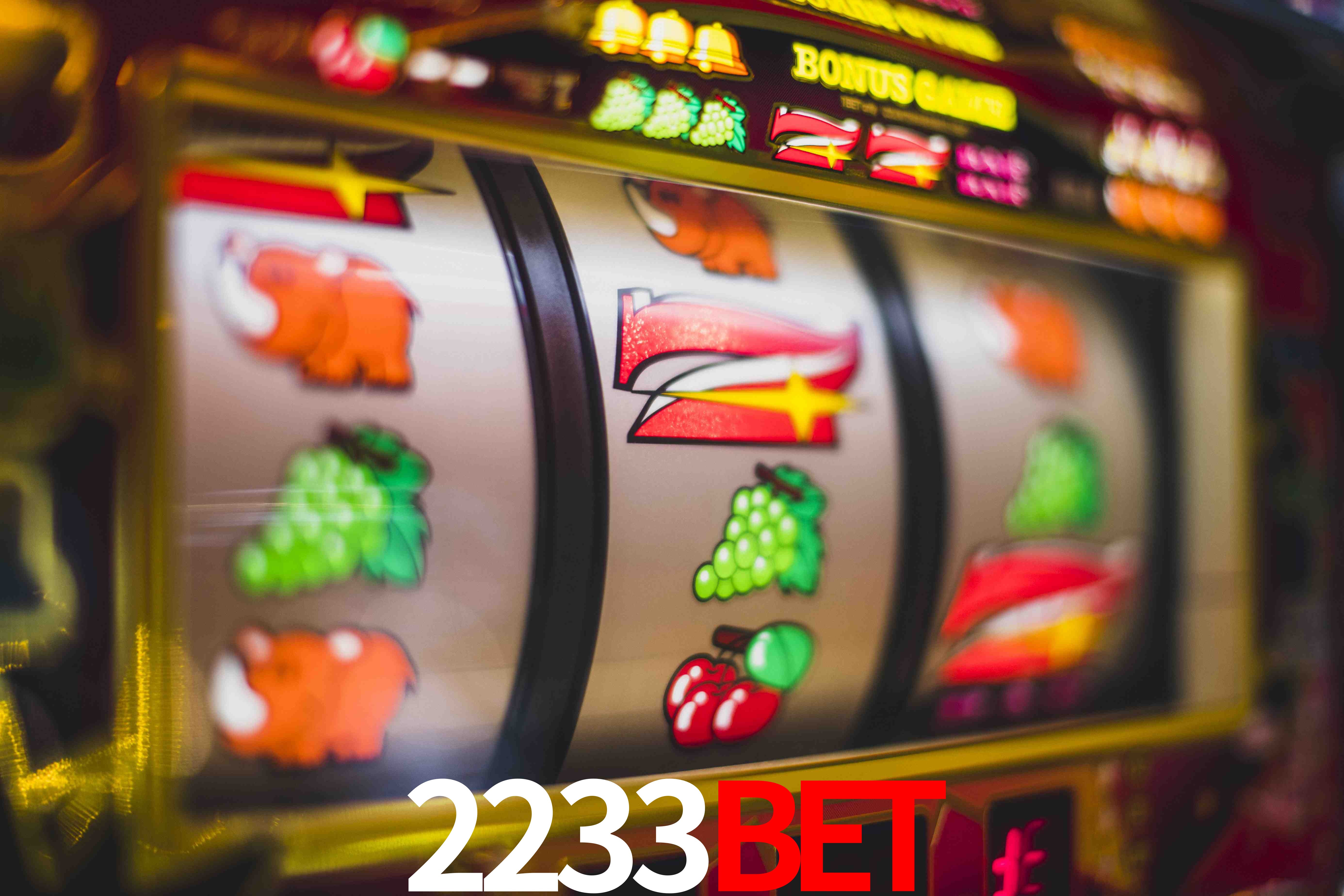 Statistics 2233bet